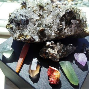 Meet your Posher, Dee